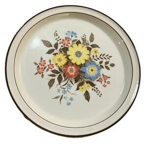 Shannon Balleymore 10.5" Dinner Plate Aran Stone By Arklow 1982 VTG Irish Floral